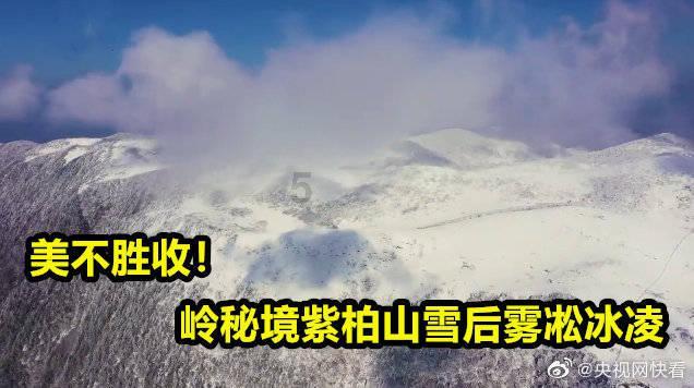 狙击精英4