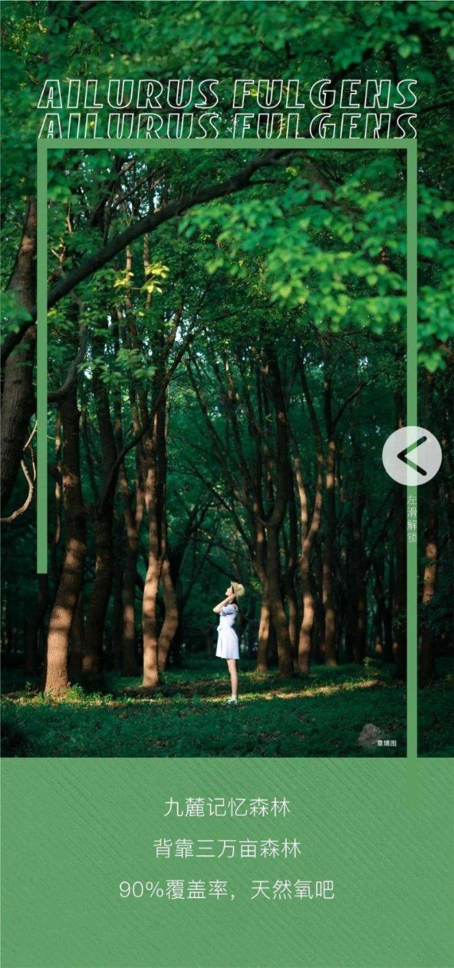 秦陵陪葬1号墓为何重要?墓主不排除是吕不韦、王翦、王贲其中一个