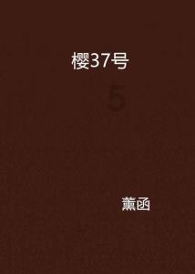 冒险岛2