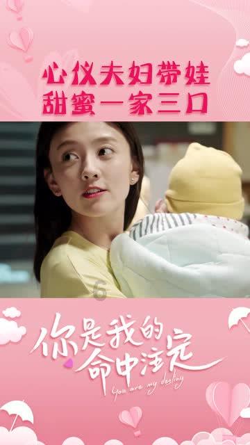拯救可爱袋鼠