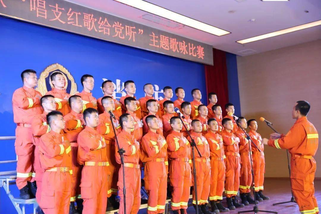 可爱的小考拉