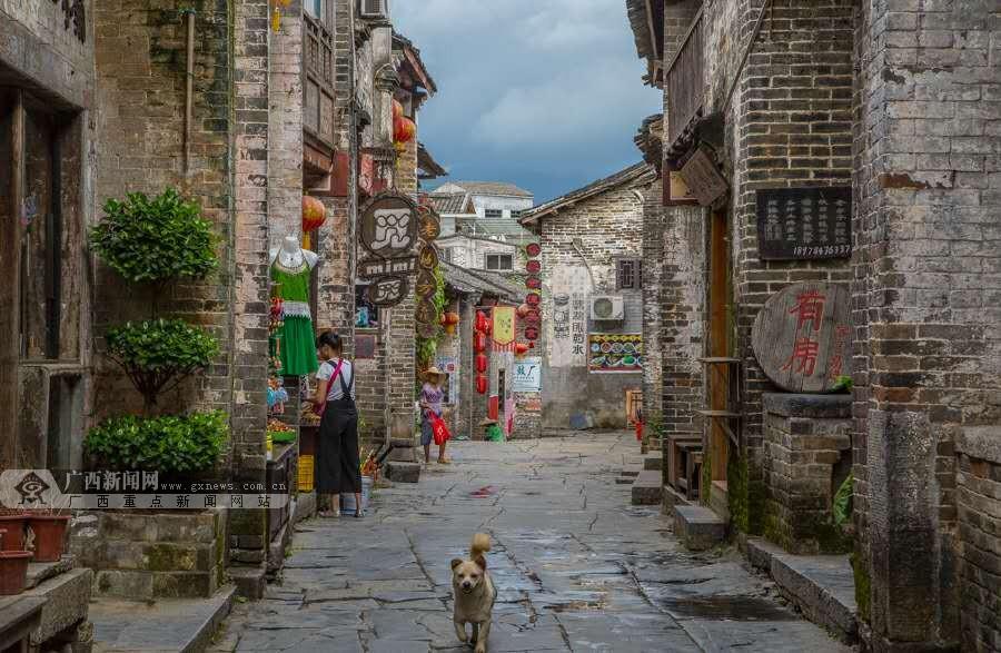 懂你所问,解疑答惑——狐朋狗党猜一种动物问答交流平台